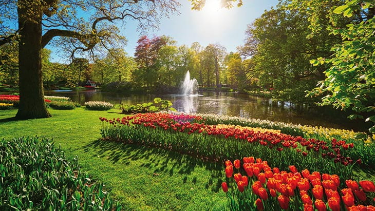 Keukenhof Gardens